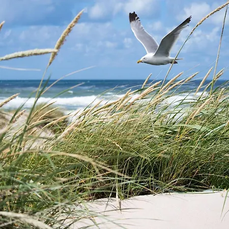 Elegant Seaview Corner
